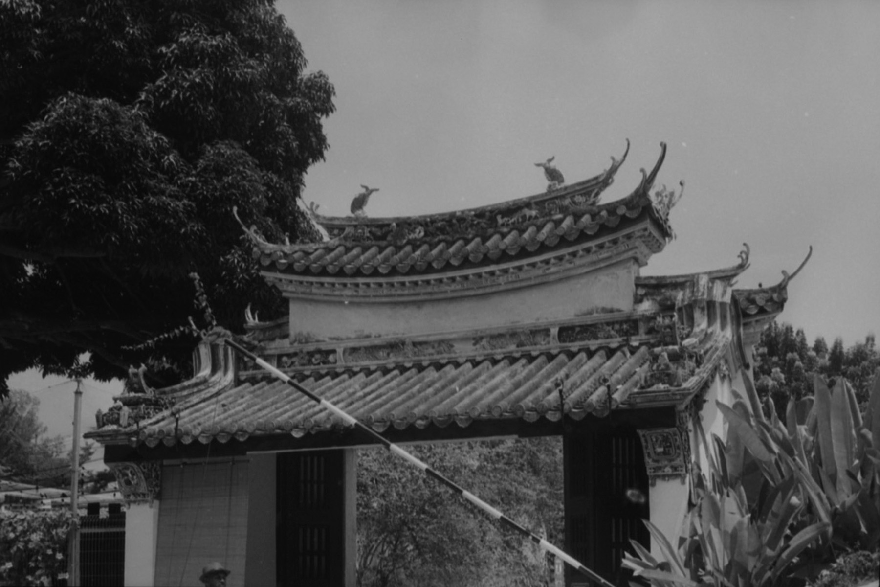 Penang 36