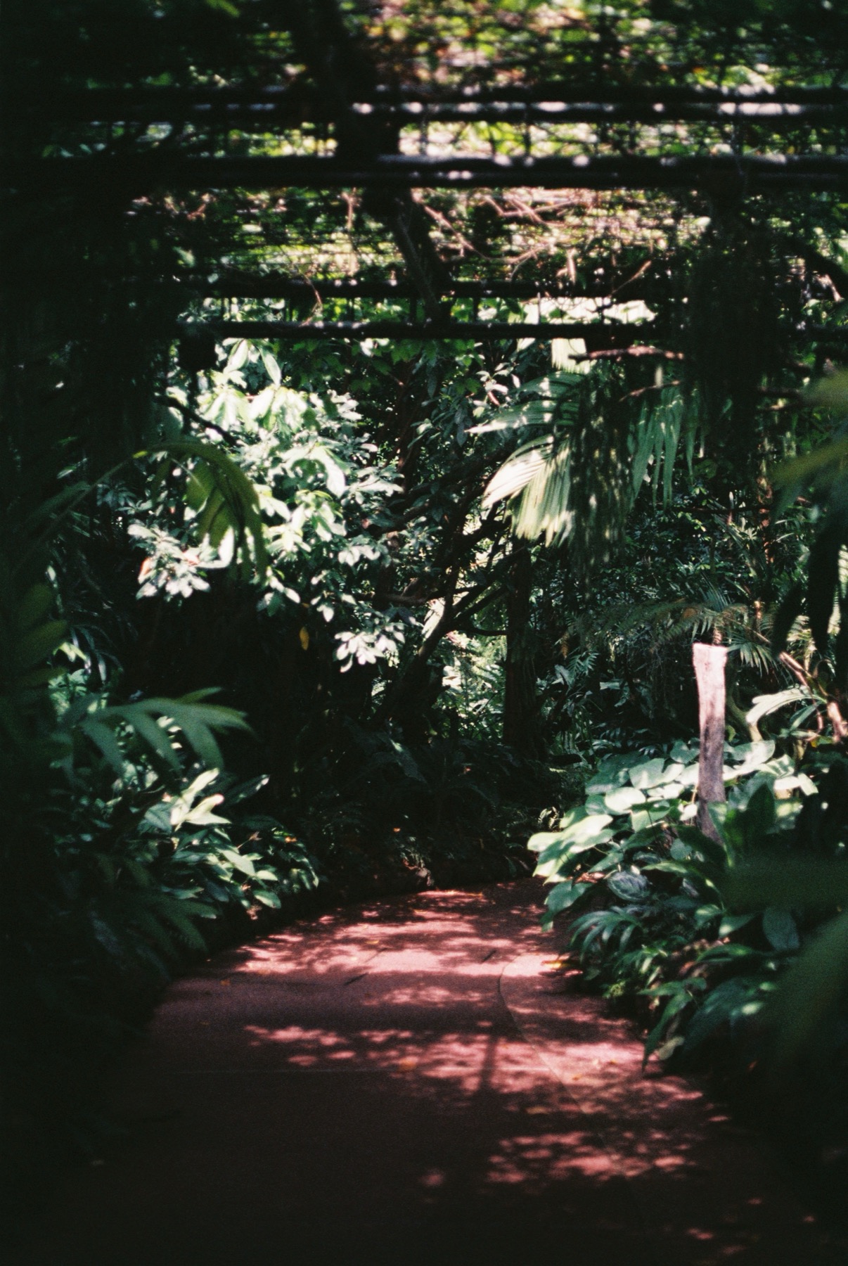 Singapore 08