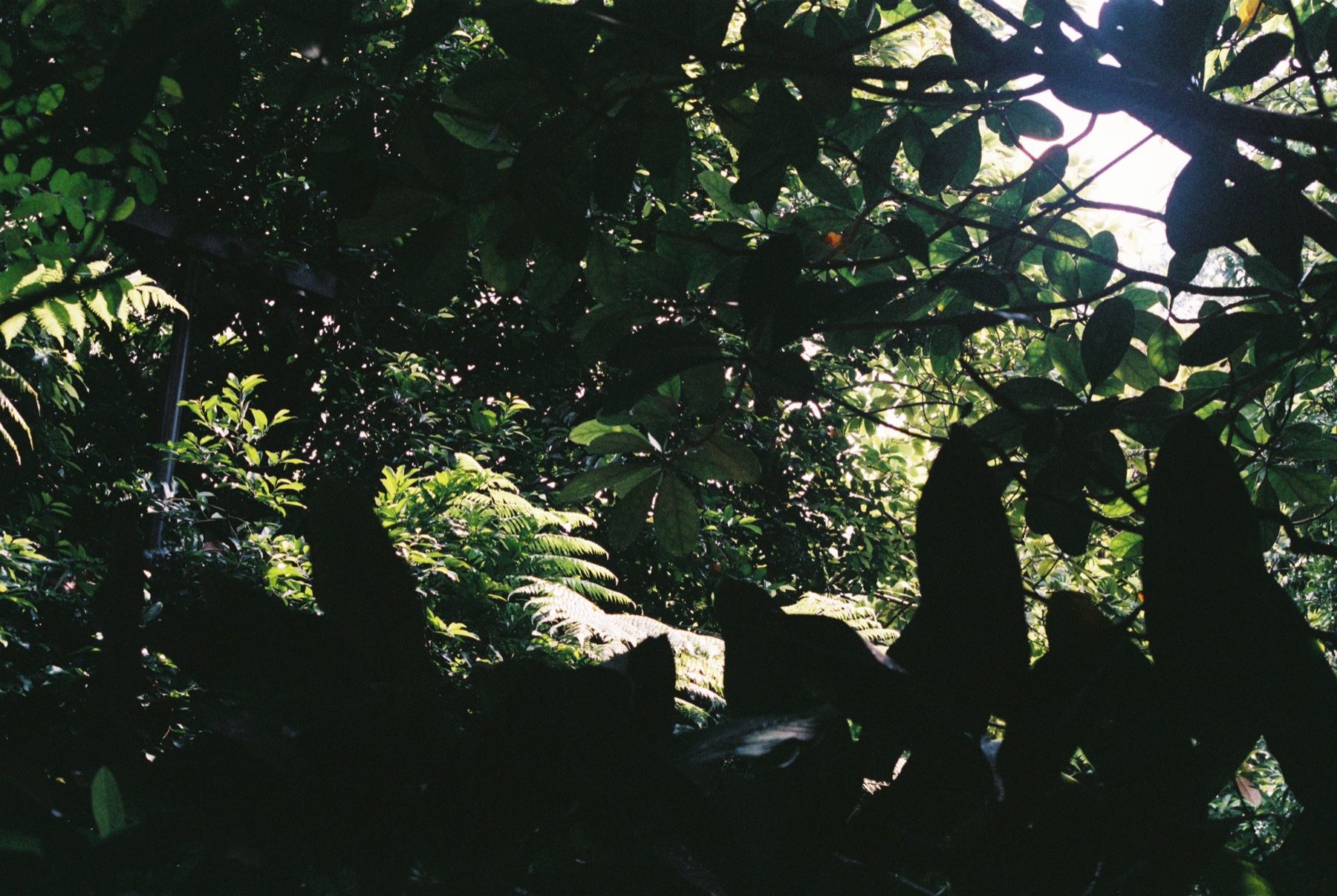 Singapore 09